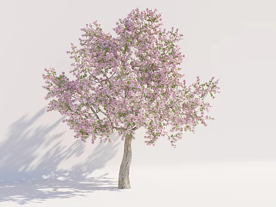 Beautiful Arbor With Pink Blossoms Brown Trunk And Shadows On White Background 3d model