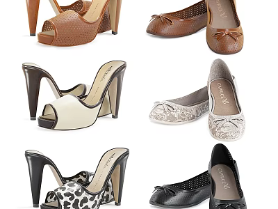 Stylish Women's Shoes Collection Featuring High Heels Flats Leopard Print Lace And Bow Details 3d model