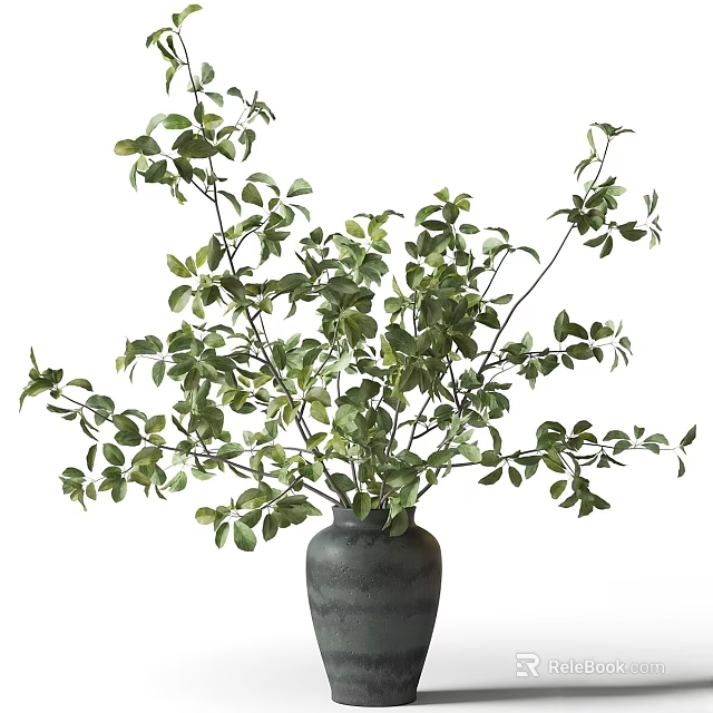 Decorative Ornament Set with Black Vase and Green Foliage Plant for Home Interior Decoration 3d model 