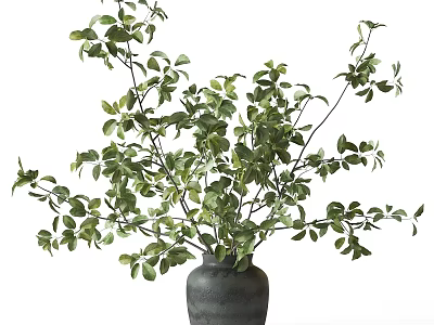 Decorative Ornament Set with Black Vase and Green Foliage Plant for Home Interior Decoration 3d model