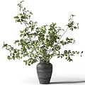Decorative Ornament Set with Black Vase and Green Foliage Plant for Home Interior Decoration