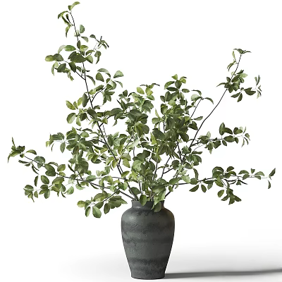 Decorative Ornament Set with Black Vase and Green Foliage Plant for Home Interior Decoration 3d model