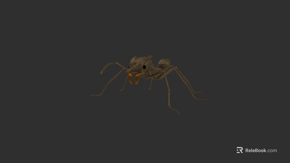 Detailed Brown Ant 3D Model With Long Legs And Mandibles 3d model 