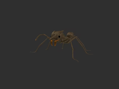 Detailed Brown Ant 3D Model With Long Legs And Mandibles 3d model