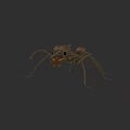 Detailed Brown Ant 3D Model With Long Legs And Mandibles