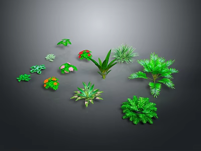 Various Green Indoor Plants with Different Shapes and Sizes Arranged on Gray Background 3d model
