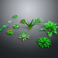 Various Green Indoor Plants with Different Shapes and Sizes Arranged on Gray Background