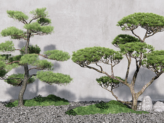 New Chinese Pine Tree Welcome Pine Landscape Tree Dead Rock Courtyard 3d model