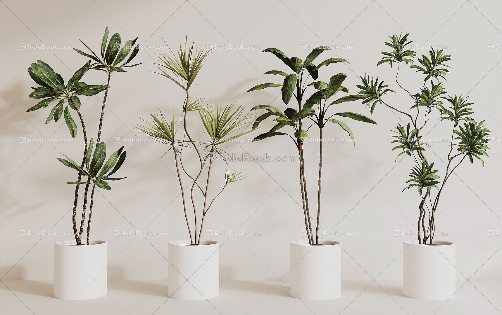 modern potted plant model