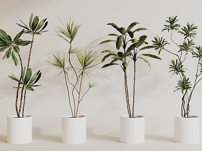 modern potted plant model