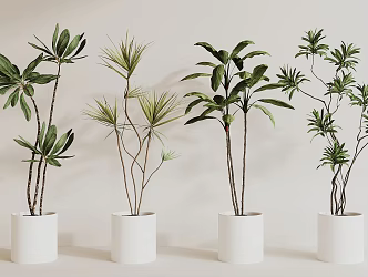 modern potted plant 3d model