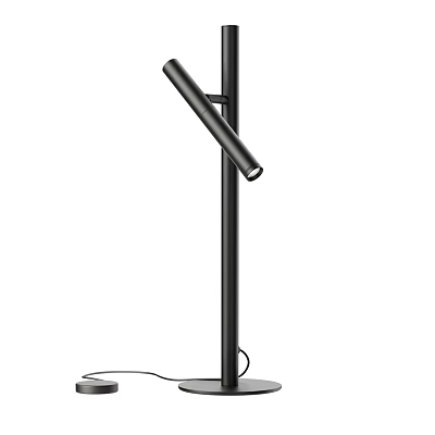 Black Modern Minimalist Floor Lamp With Adjustable Lamp Head For Home Lighting 3d model