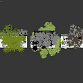 Natural Plant Combinations With Small Trees Green Foliage Stones Moss And Landscape Decor
