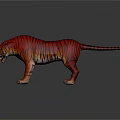 Vibrant Red And Orange Gradient Tiger With Black Stripes Open Mouth Dark Background Reflection