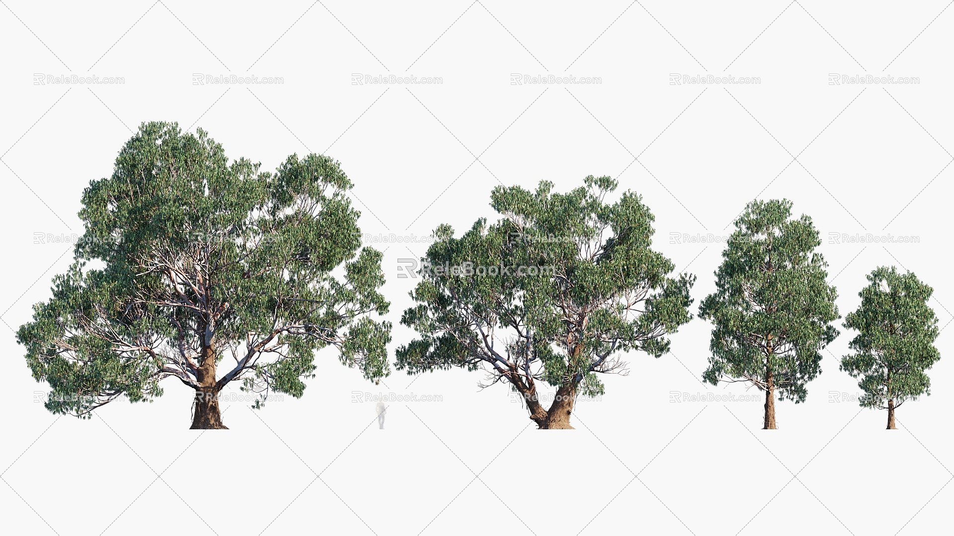 Plants Trees Trees Landscape Trees Arbor 3d model