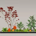 Garden Landscape Design With Red Maple Tree Green Plants Moss Stones And Round White Ornaments