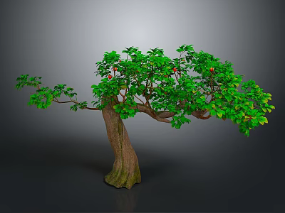 Lush Green Tree With Red Fruits Thick Trunk Exposed Roots On Gray Background 3d model