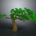 Lush Green Tree With Red Fruits Thick Trunk Exposed Roots On Gray Background