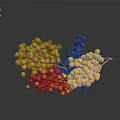 Colorful Grapes Bunch with Red Yellow Green and Purple Fruits on Dark Background