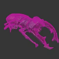 Vibrant Red Black Stag Beetle Displaying Large Shiny Mandibles on Dark Background