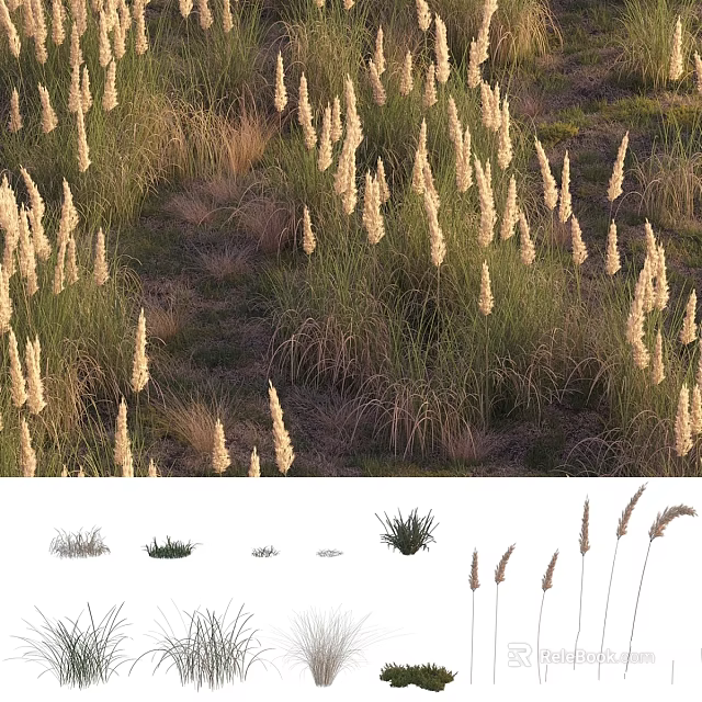 Natural Grass Ornamental Decorative Plant Arrangement For Home And Garden 3d model 