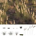 Natural Grass Ornamental Decorative Plant Arrangement For Home And Garden