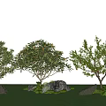 Loquat tree pomegranate tree courtyard landscape tree 3d model