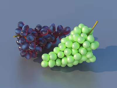 Fresh Purple and Green Grapes on a Gray Background Still Life 3d model