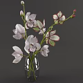 Decorative Glass Vase with Orchid Flowers White Pink Petals Green Stems Leaves