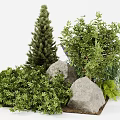 Colorful Garden Flowers And Plants Featuring Lavender Pine Tree Shrubs Stones And Natural Arrangement