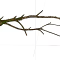 Natural Wood and Stone Branches with Rustic Decorative Texture Details