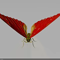 Butterfly With Vibrant Red Wings And Yellow Sections On Dark Background 3d model