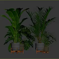 Various Green Plants in Metal Pots with Orange Stands on Grey Background