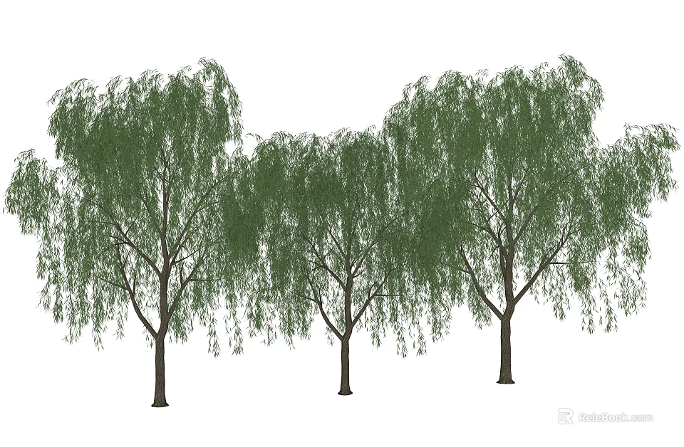 Arbor Weeping Willow Trees with Lush Green Hanging Branches in Row 3d model