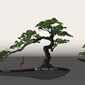 Bonsai Plants with Curved Trunks Green Leaves and Red Flamingo Decorations on Black Bases