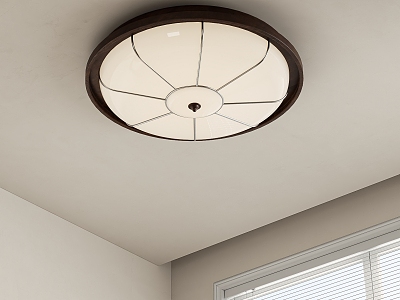 French Middle Ceiling Lamp model