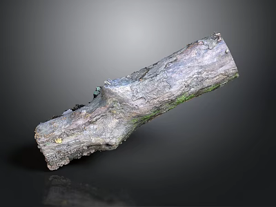 Weathered Wooden Log With Green Moss Growth And Metallic Surface Texture 3d model
