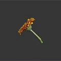 Vibrant Gerbera Flower With Yellow Red Petals And Dark Center On Green Stem