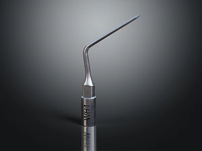 High Quality Metal Hardware Tool With Curved Tip And Durable Stainless Steel Build 3d model