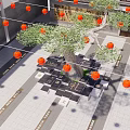 Tree Pit with Large Tree and Hanging Orange Lanterns in Paved Courtyard Area