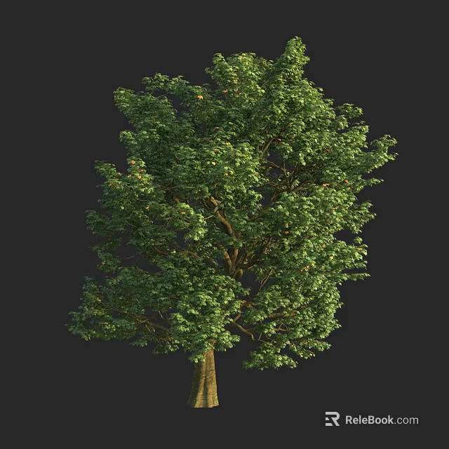 Lush Green Arbor With Dense Foliage And Strong Trunk In Natural Setting 3d model 
