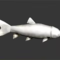 Realistic Silver Gray Fish with Scales and Fins on Gray Background with Reflection