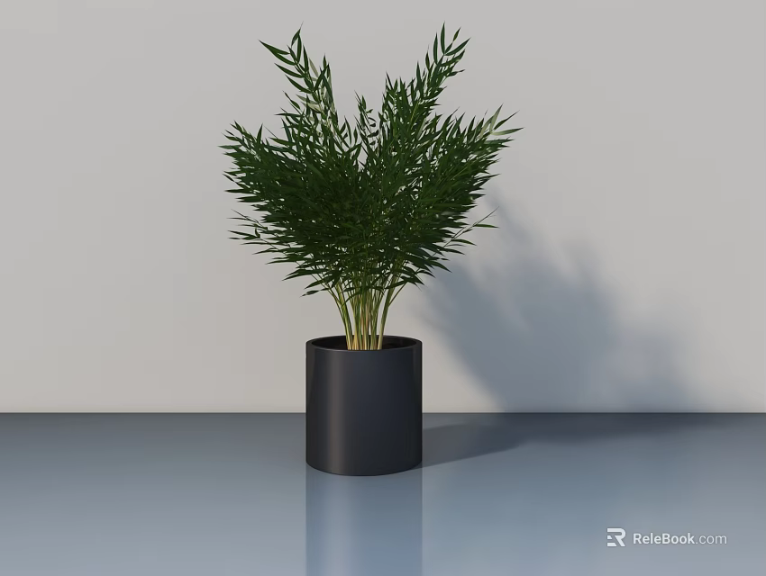 Lush Green Bonsai Potted Plant in Black Cylindrical Pot on Smooth Surface 3d model 