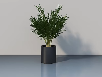 Lush Green Bonsai Potted Plant in Black Cylindrical Pot on Smooth Surface 3d model
