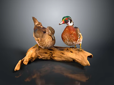 Two Colorful Wood Ducks Perched On A Wooden Log With Detailed Feathers 3d model
