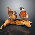 Two Colorful Wood Ducks Perched On A Wooden Log With Detailed Feathers