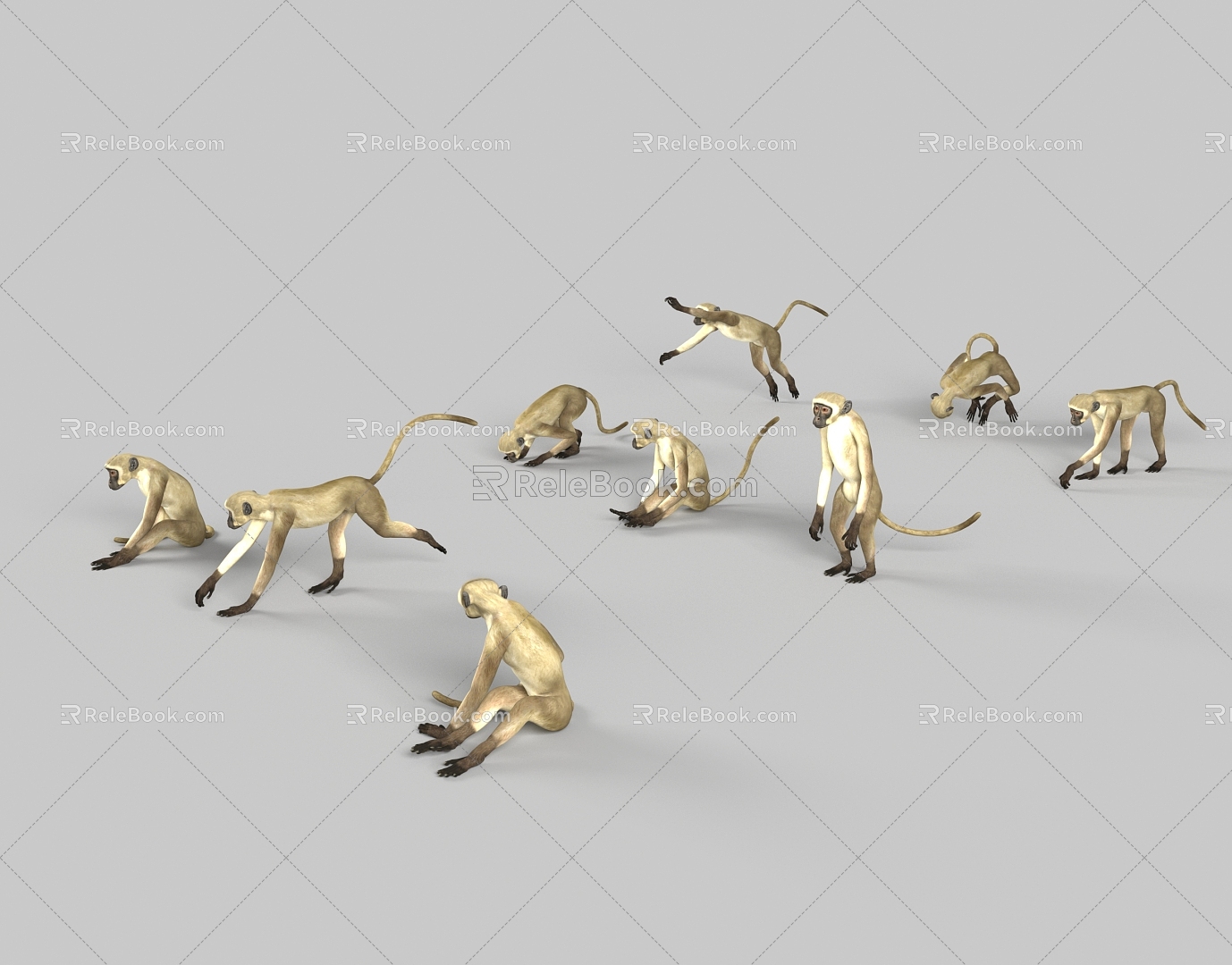 Monkey Monkey Animal 3d model