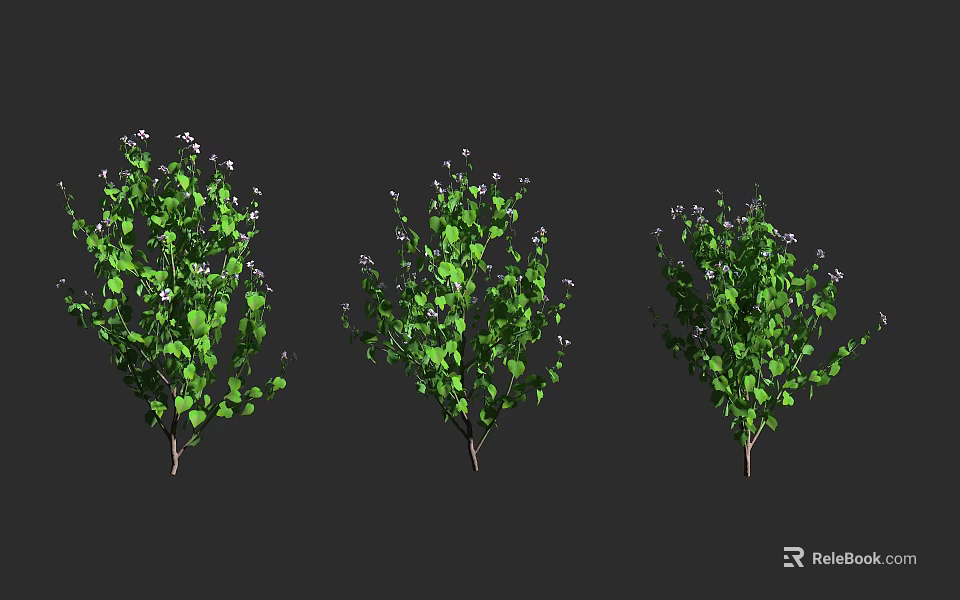 Three Lush Green Shrubs With White Flowers And Leafy Foliage 3d model 