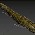 Black Spotted Yellow Aquatic Animal Fish With Slender Body And Fins