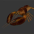 Realistic Brown Orange Lobster With Large Claws On Dark Background 3d model